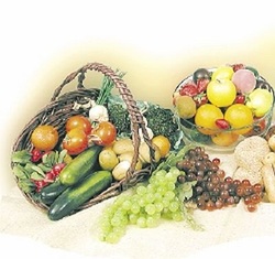 Seminario  La Dieta Zona, l'alimentazione per il benessere - Fisiokinetik